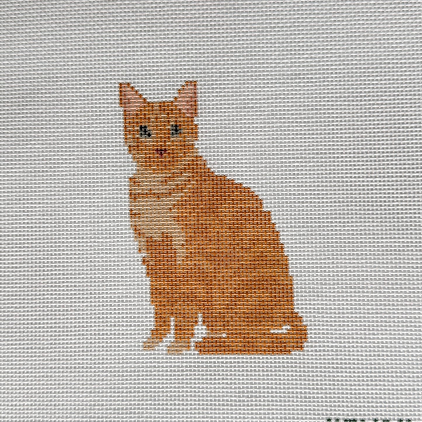 Henry House Cat Orange