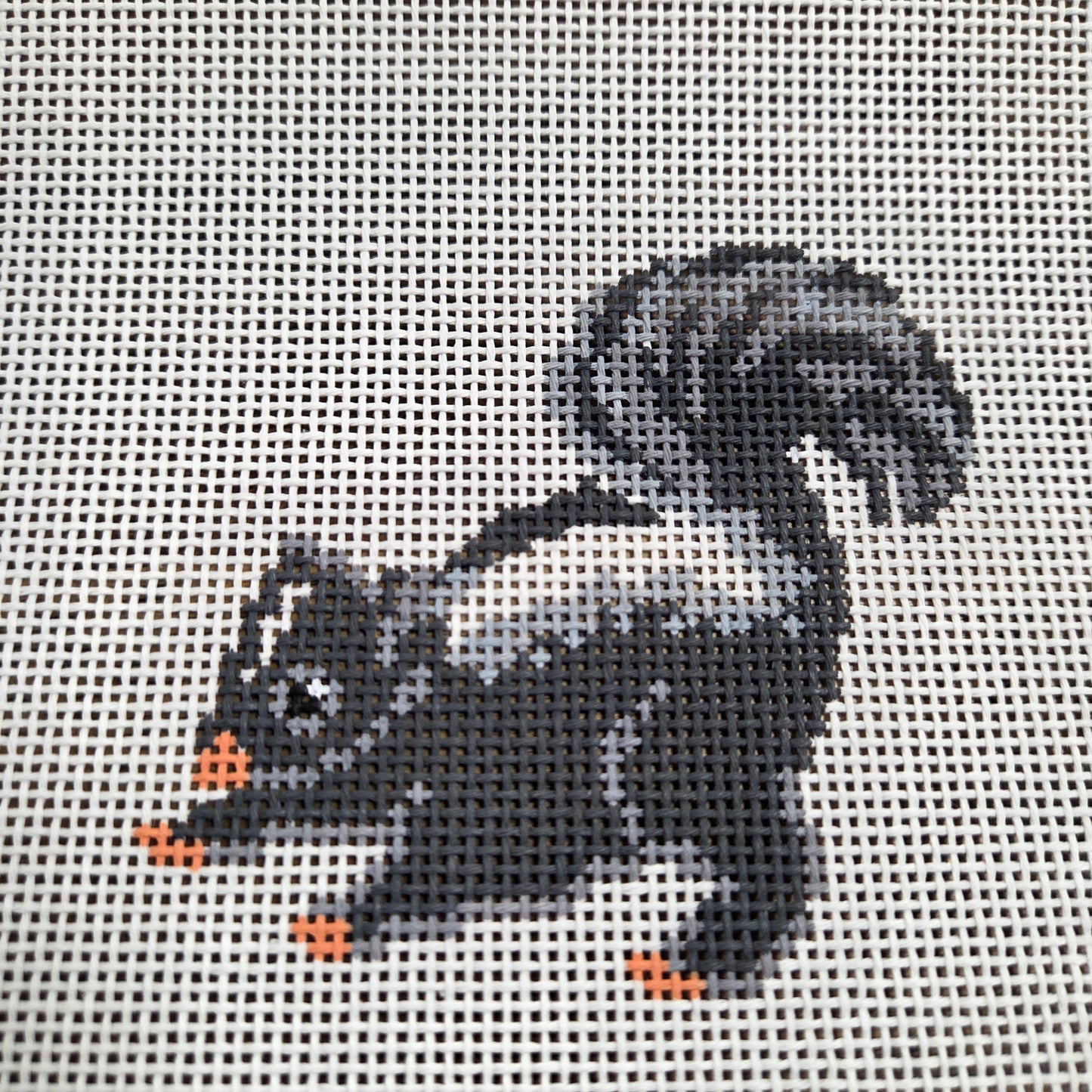 Skunk