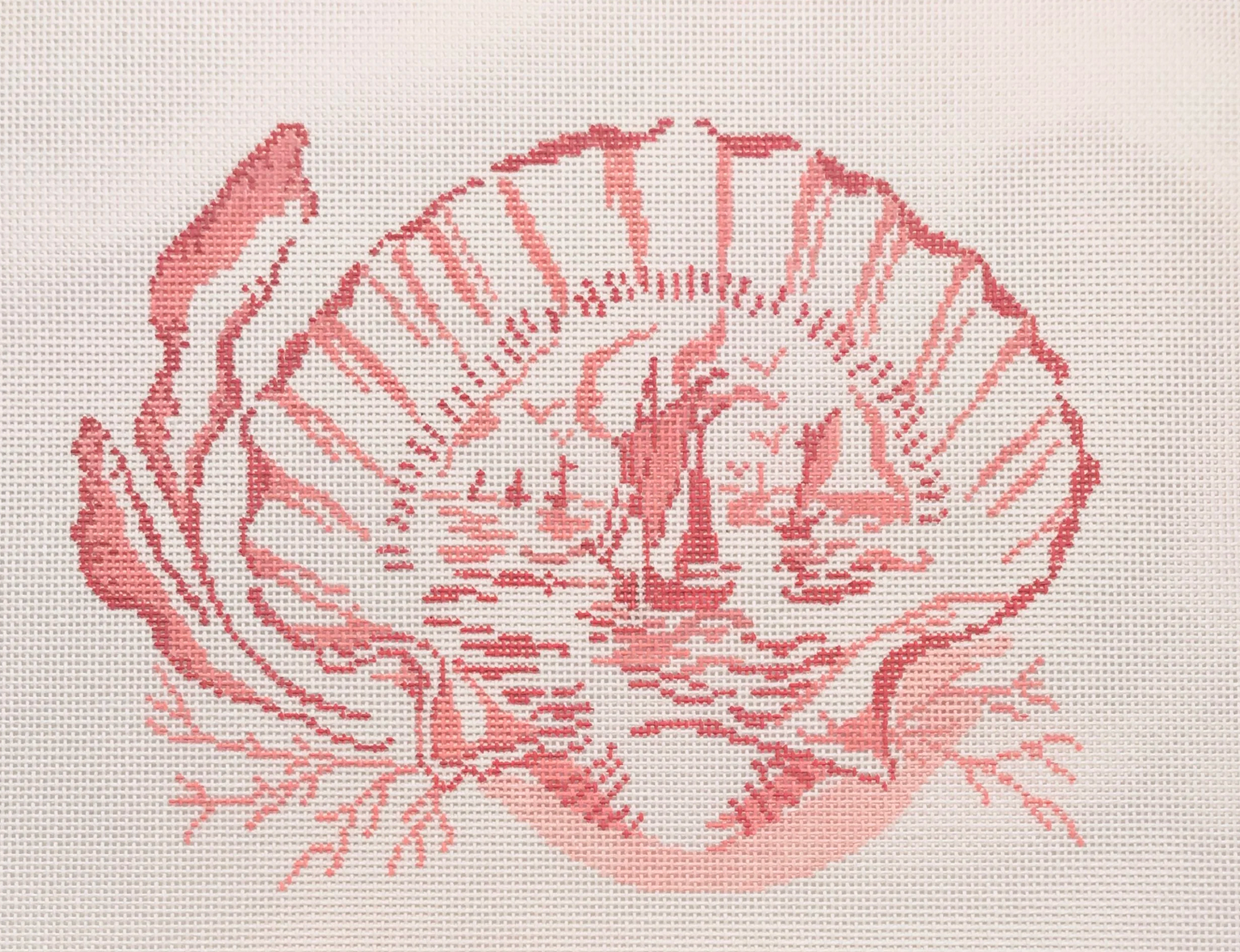 Isla Simpson - Pink Shell