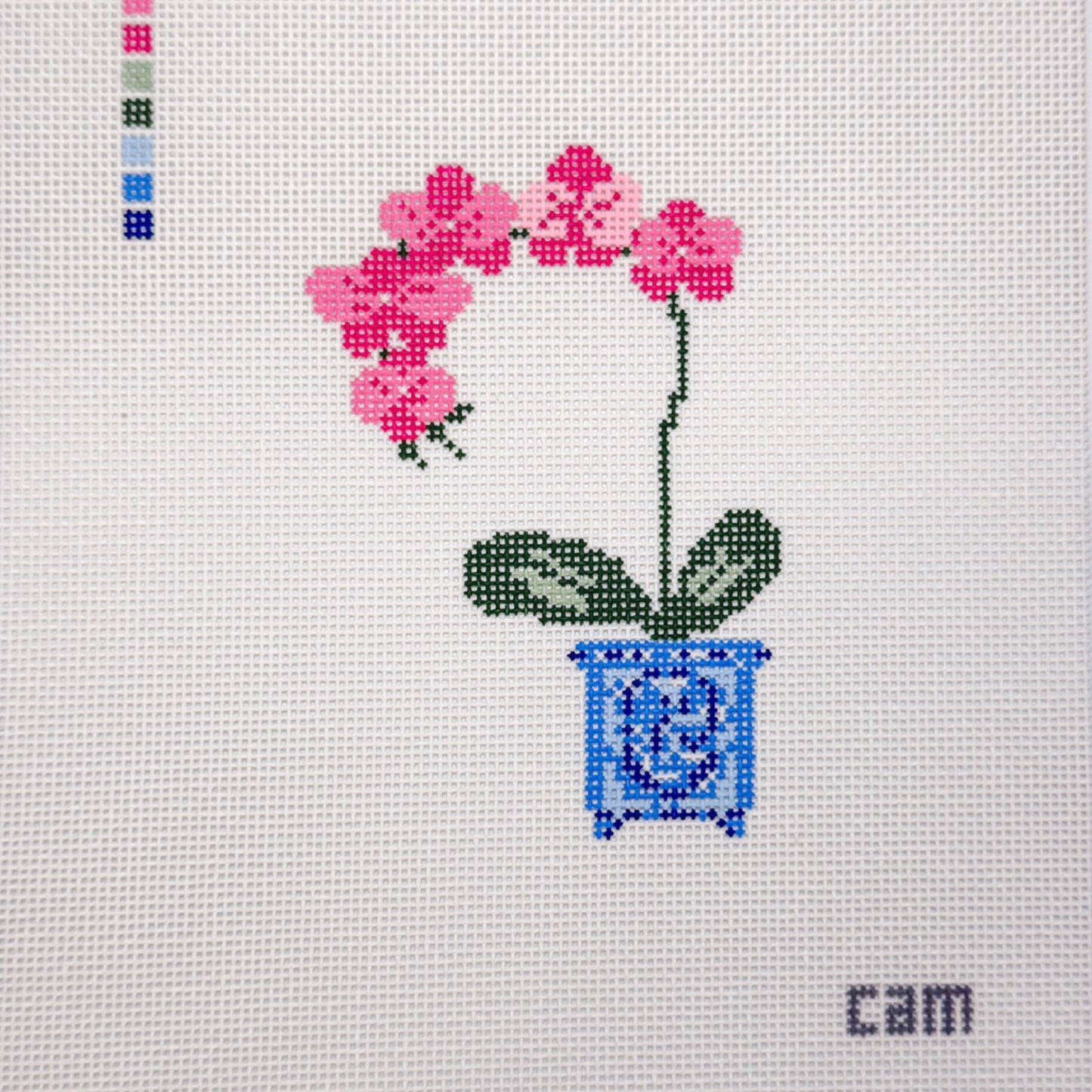 Orchid by CAM