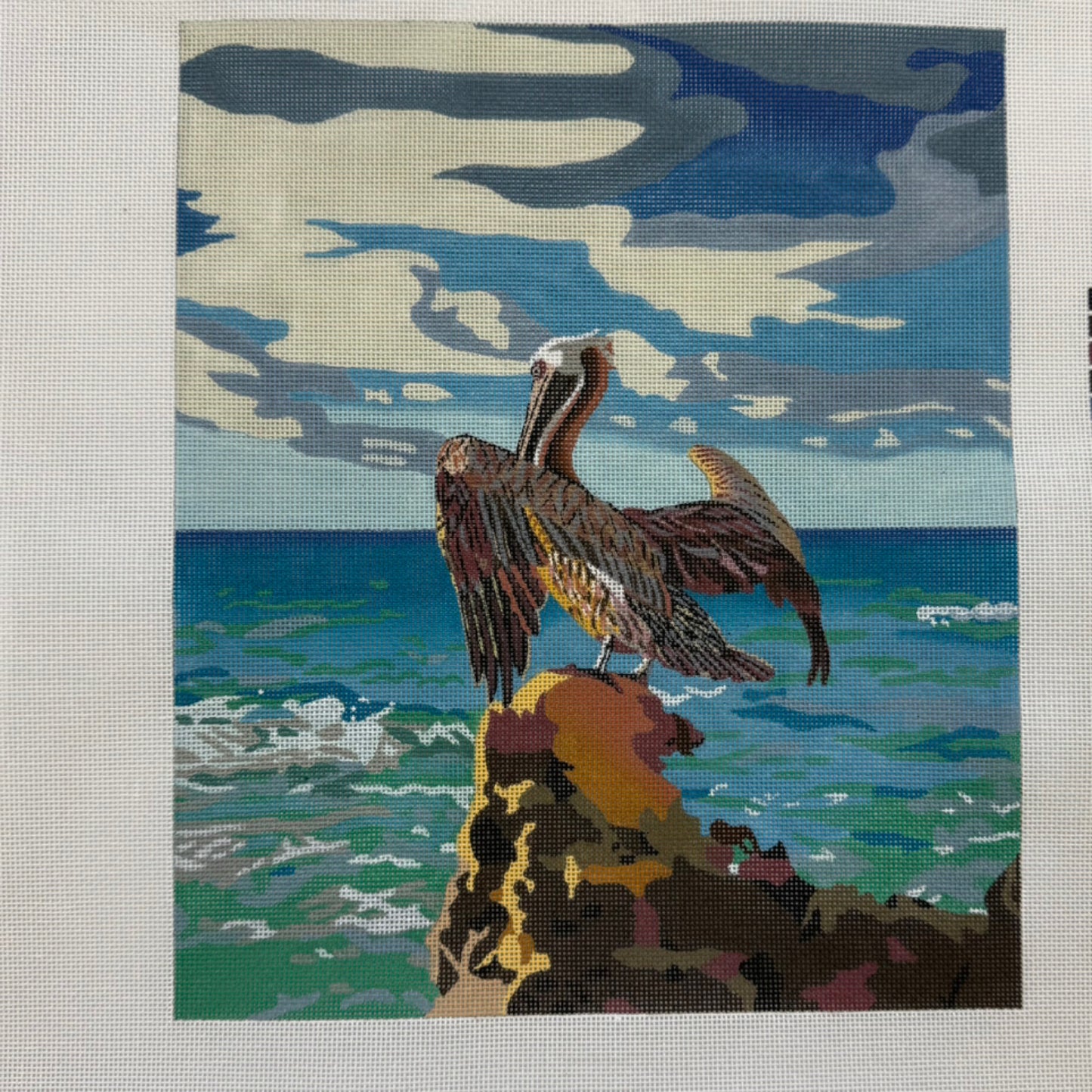 Colors of Praise Pelican