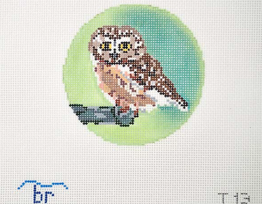 Blue Ridge Stitchery Saw Whet Owl