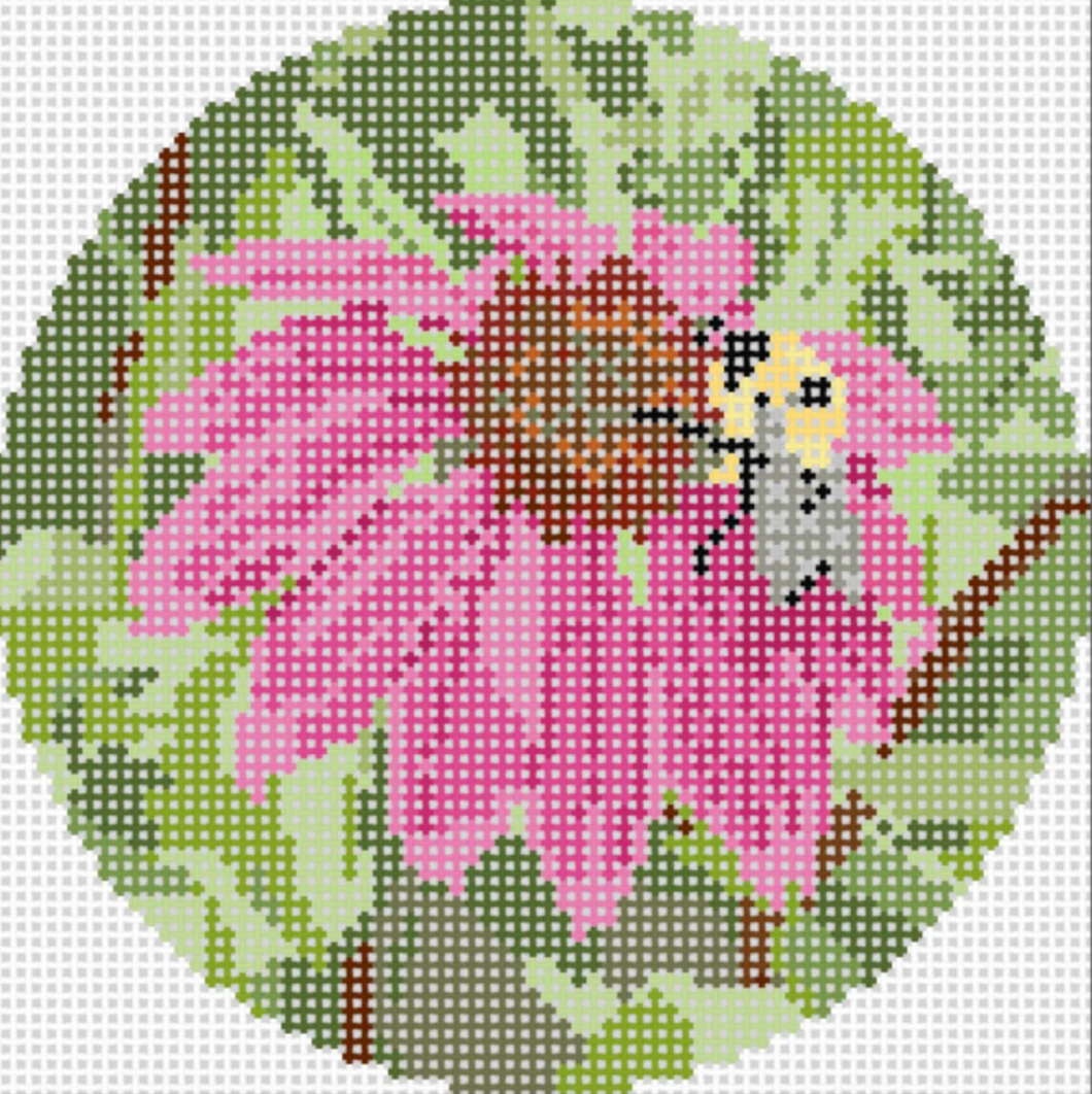 Ruby and Pearl - Echinacea with Bee
