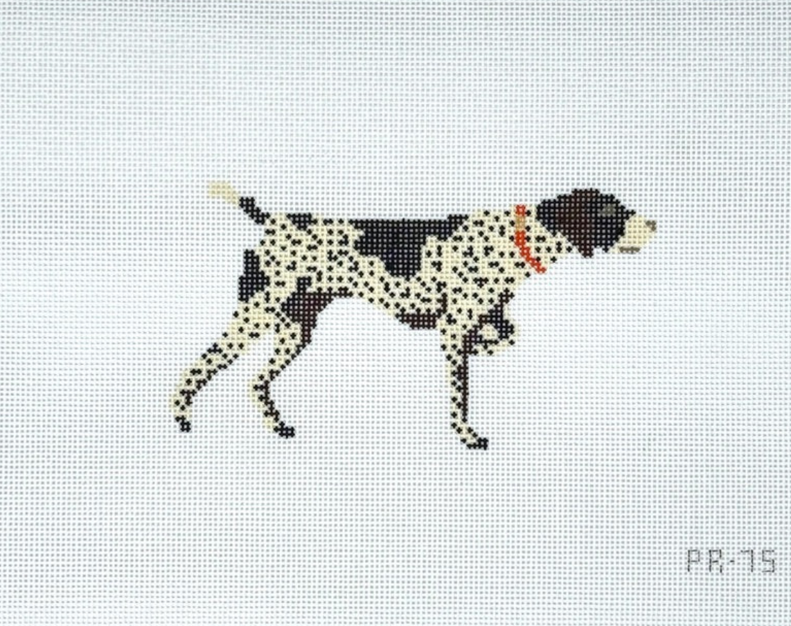Pip and  Roo - German Shorthaired Pointer