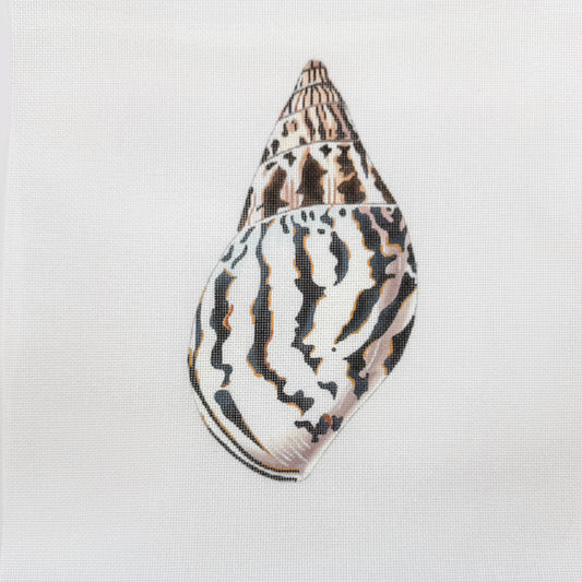 Colors of Praise Seashell 2