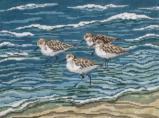 Needle Crossings - Sanderlings in the Surf