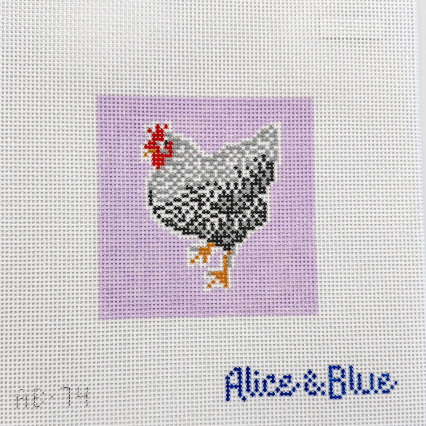 Alice & Blue Diego Barred Rock Chicken