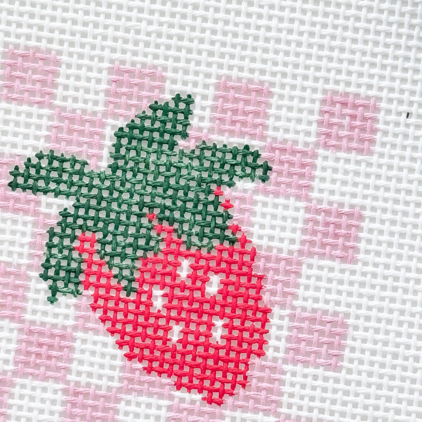 Strawberry Checkered