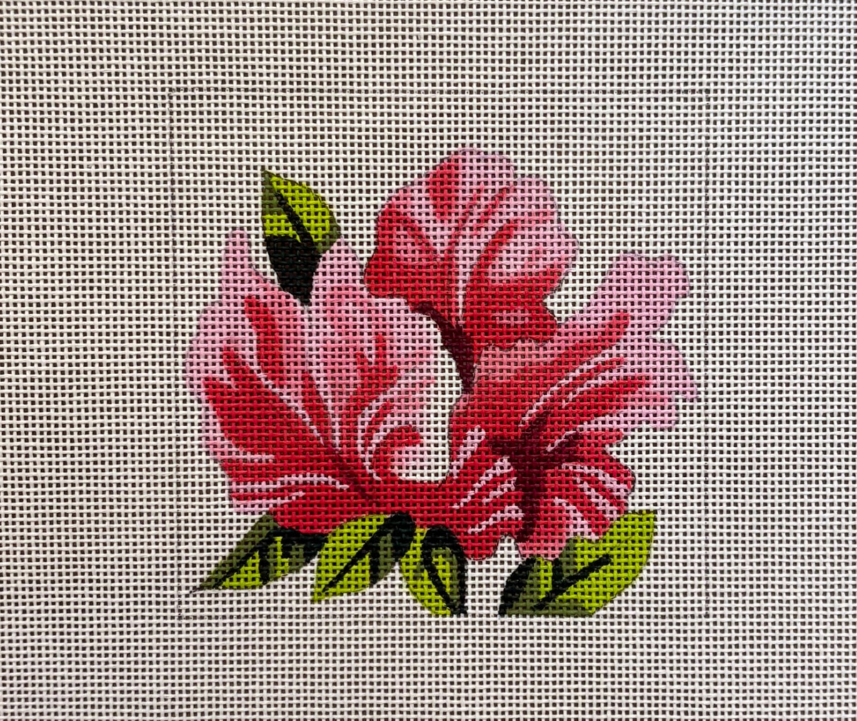 Colors of Praise - Hibiscus