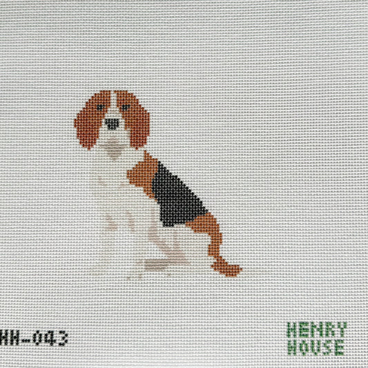 Henry House Beagle