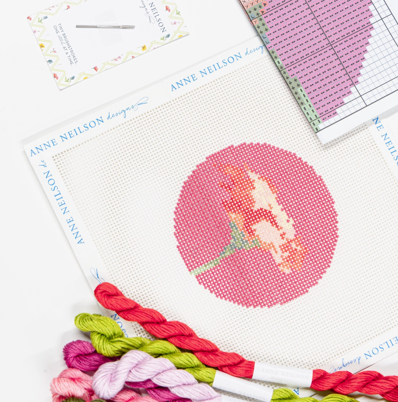 Anne Neilson - Praise Floral Beginner Needle Point Kit
